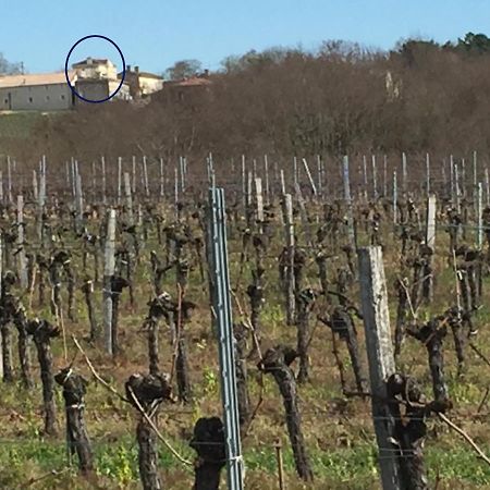 Superbe Gite A La Campagne Dans Le Bordelais Saint-Vivien-de-Blaye Екстериор снимка