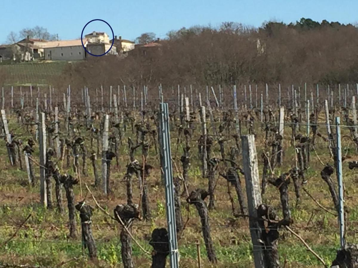Superbe Gite A La Campagne Dans Le Bordelais Saint-Vivien-de-Blaye Екстериор снимка